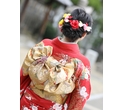 【成人式】MIFUKU PHOTO Part 57