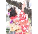 【成人式】MIFUKU PHOTO Part 60